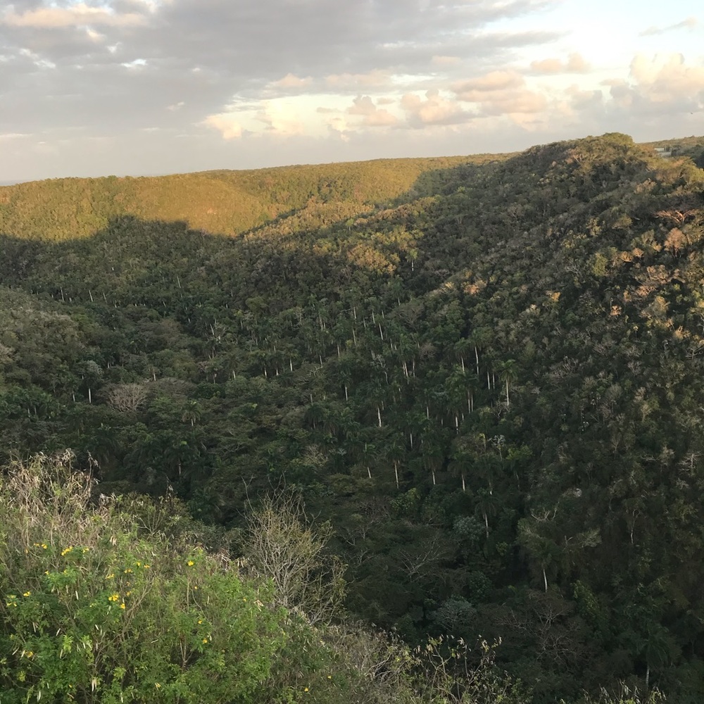 Meet your Posher, Maya